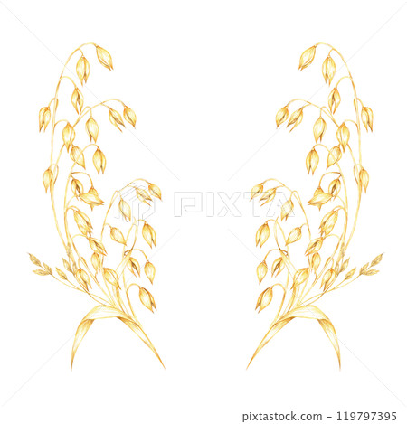 Oat stalks with golden-yellow oat grains and herb leaves. Avena sativa composition. Watercolor clipart for use in natural health product branding, herbal remedy packaging, or artisanal merchandise Oat stalks with golden-yellow oat grains and herb leaves. Avena sativa composition. Watercolor clipart for use in natural health product branding, herbal remedy packaging, or artisanal merchandise 119797395
