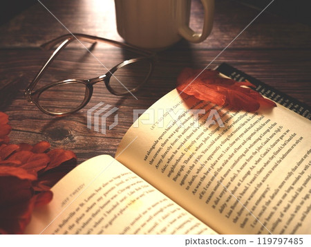 Book, red leaves and glasses Book, red leaves and glasses 119797485