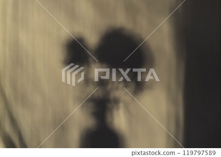 The shadow of a bouquet of flowers on the wall. Play of light and shadow. Background with shadow of flowers. The shadow of a bouquet of flowers on the wall. Play of light and shadow. Background with shadow of flowers. 119797589