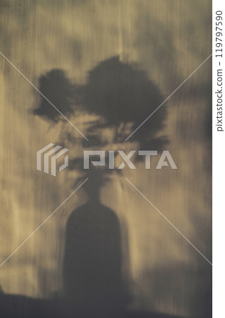 The shadow of a bouquet of flowers on the wall. Play of light and shadow. Background with shadow of flowers. The shadow of a bouquet of flowers on the wall. Play of light and shadow. Background with shadow of flowers. 119797590
