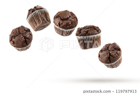 Chocolate chip muffin 119797913