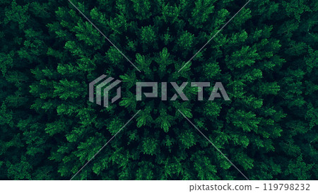 Aerial perspective of dense forest symmetrical kaleidoscope pattern in vibrant shades of green art illustration abstract background. 119798232