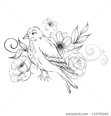 Victorian bird and roses, border. Vintage flowers, botanical arrangement. Romantic anemone and peony. For greeting cards, wedding, fabric, printing. Graphic vector line, hand drawn, black silhouette Victorian bird and roses, border. Vintage flowers, botanical arrangement. Romantic anemone and peony. For greeting cards, wedding, fabric, printing. Graphic vector line, hand drawn, black silhouette 119798264
