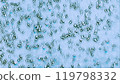 Biological cells blue green particles microbiology biochemistry art illustration abstract background. 119798332
