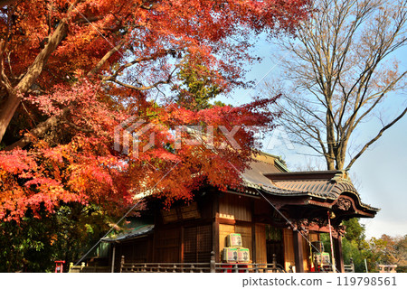 神奈川縣秦野市白笠稻荷神社 神奈川縣秦野市白笠稻荷神社 119798561