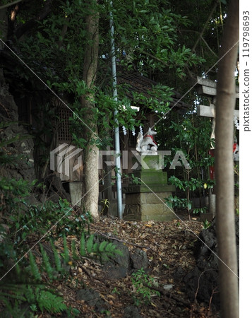 A sub-shrine in the forest, Sanno Kumano Shrine, Ota Ward, Tokyo 119798693