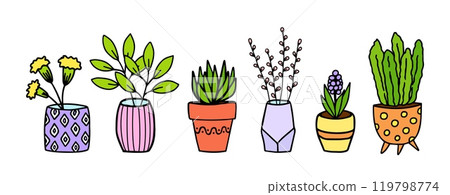 Cute potted flowers doodle hand drawn sketch. Decorative colored plants in pots and vases. Vintage botanical illustration. Isolated vector Cute potted flowers doodle hand drawn sketch. Decorative colored plants in pots and vases. Vintage botanical illustration. Isolated vector 119798774
