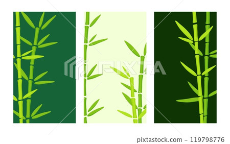 Web banner for social media mobile apps, organic design with bamboo grass. Eco trend. Stylish social media Stories. Editable vector templates with copy space for text 119798776