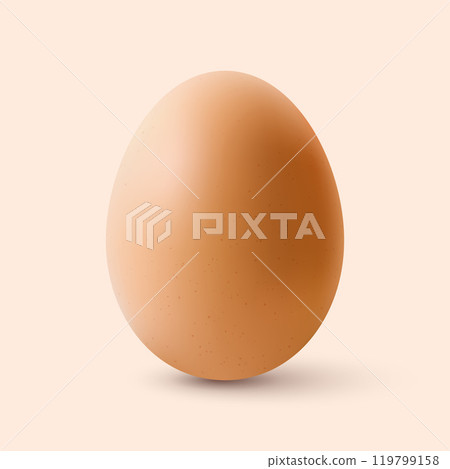 Chicken Egg Chicken Egg 119799158