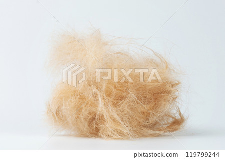 Pet hair loss theme Pet hair loss theme 119799244