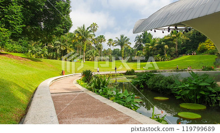 Natural Landscape With Grass Hill And Lakeside Walkway Of Singapore Botanic Gardens. 119799689