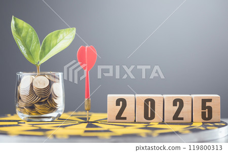 "2025" is written on a wooden block placed on yellow dart board against a soft grey background. The image symbolizes future goals, planning, and target-setting for the upcoming year. "2025" is written on a wooden block placed on yellow dart board against a soft grey background. The image symbolizes future goals, planning, and target-setting for the upcoming year. 119800313