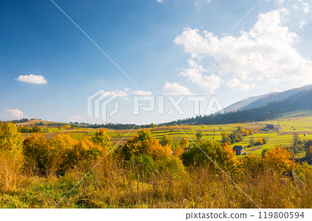 forest in colorful foliage. rolling hills. mountainous countryside landscape of ukraine on a sunny afternoon in autumn. fall season in carpathian mountains. rustic sustainability in rural scenery forest in colorful foliage. rolling hills. mountainous countryside landscape of ukraine on a sunny afternoon in autumn. fall season in carpathian mountains. rustic sustainability in rural scenery 119800594