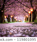 櫻花盛開 119801095