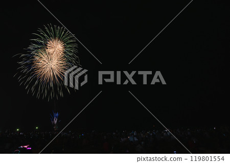 Fireworks at the Sagara Marine Fireworks Festival at Sagara Sun Beach in Makinohara City (Shizuoka Prefecture) 119801554