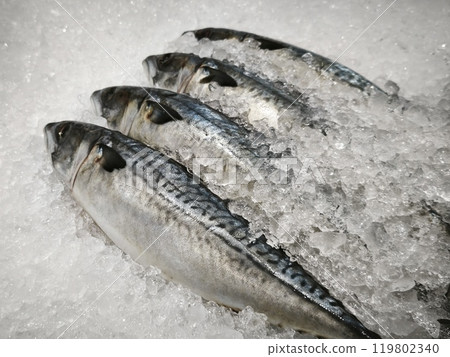 Fresh fish on ice, displayed in a market. 119802340