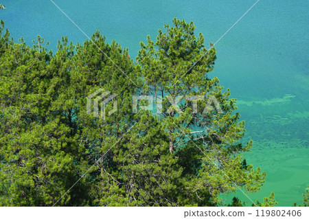 Lush green trees stand tall against a vibrant, emerald-green lake of Telaga Menjer Lush green trees stand tall against a vibrant, emerald-green lake of Telaga Menjer 119802406