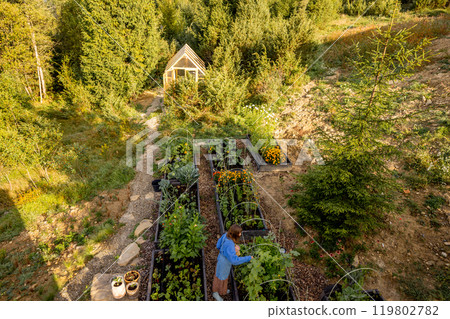 Morning Harvest in the Garden 119802782