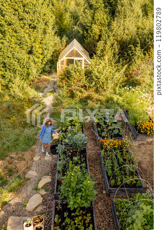 Morning Harvest in the Garden Morning Harvest in the Garden 119802789