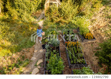 Morning Harvest in the Garden 119802790