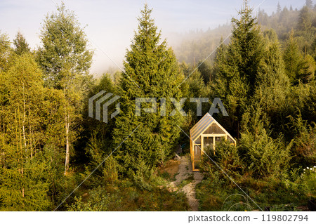 Greenhouse Sanctuary in the Forest Greenhouse Sanctuary in the Forest 119802794