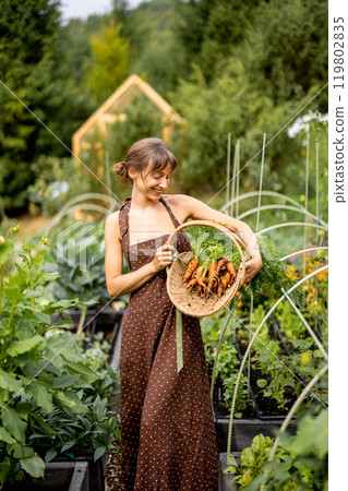 Harvest Joy Harvest Joy 119802835