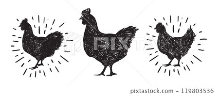 Chicken hand drawn illustration, Vector illustration.	 119803536