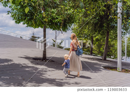 Mother with her toddler son walking in the park. Family bonding, outdoor exploration, and parenting concept Mother with her toddler son walking in the park. Family bonding, outdoor exploration, and parenting concept 119803633