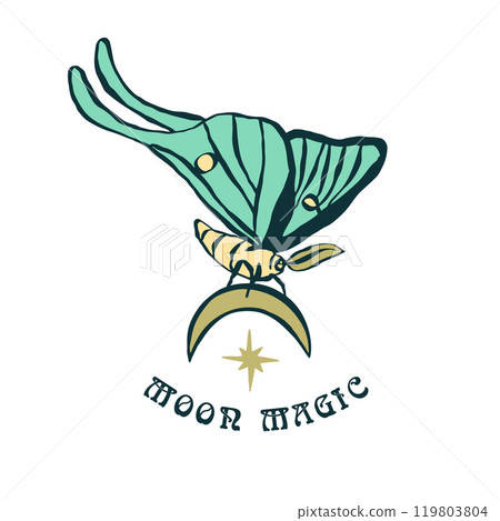 Luna moth hand drawn illustration isolated on white 119803804