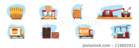 Bread Production Process and Step Scene Vector Set 119803911
