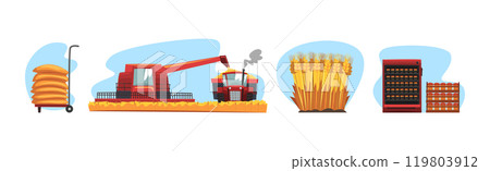 Bread Production Process and Step Scene Vector Set Bread Production Process and Step Scene Vector Set 119803912