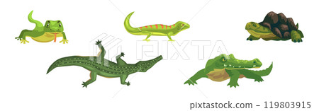 Wild Reptiles and Amphibian Animals Colorful Vector Set 119803915