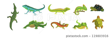 Wild Reptiles and Amphibian Animals Colorful Vector Set Wild Reptiles and Amphibian Animals Colorful Vector Set 119803916