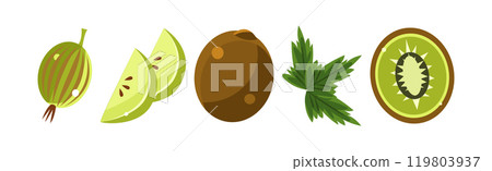 Green Fruit with Kiwi and Gooseberry Vector Set 119803937