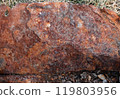 Detailed grungy texture of rusted metal plate. Rusty surface of brown and orange hues. Close-up of weathered old steel sheet with rust, chipped and peeling, aged iron, flaking paint, corrosion details 119803956