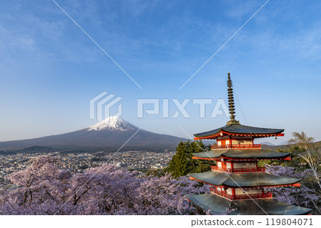 從山梨縣富士吉田市新倉山公園看到盛開的富士山和吉野櫻 119804071