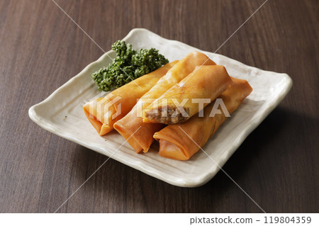 Spring roll  119804359
