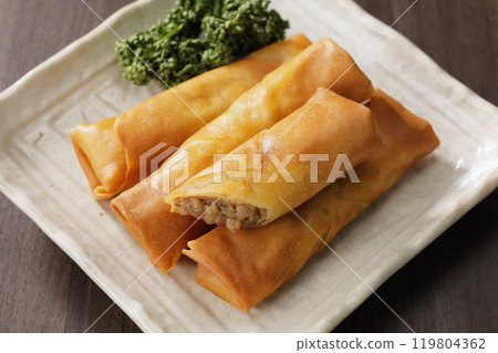Spring roll  119804362
