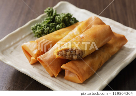 Spring roll Spring roll 119804364