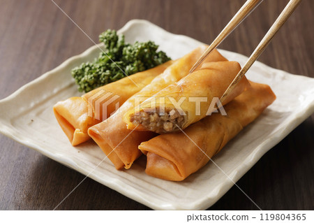 Spring roll  119804365