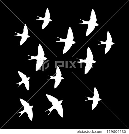 Swallow logo Swallow logo 119804380