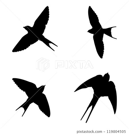 Swallow logo 119804505