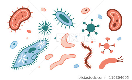 The simplest unicellular organisms set, bacteria and viruses, microorganisms under a microscope. Paramecium caudatum and other protozoa. Trendy modern vector illustration isolated on white, flat 119804695