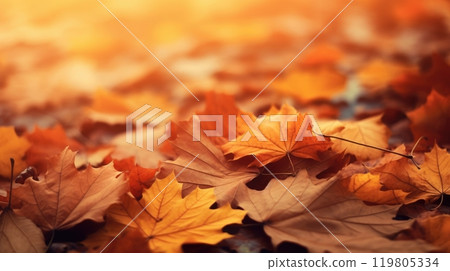 A breathtaking view of fallen maple leaves illuminated by warm sunlight during autumn season. A breathtaking view of fallen maple leaves illuminated by warm sunlight during autumn season. 119805334