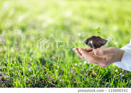 Ecology and sustainable development. Ecology and sustainable development. 119806542