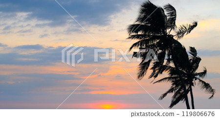 Palm tree silhouette and bright sunset. Concept - vacation and travel. 119806676
