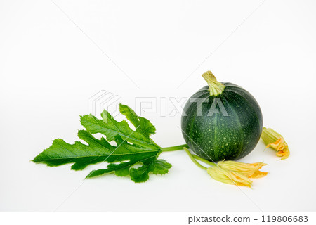 Green zucchini or round courgette, cucurbita pepo on white background 119806683