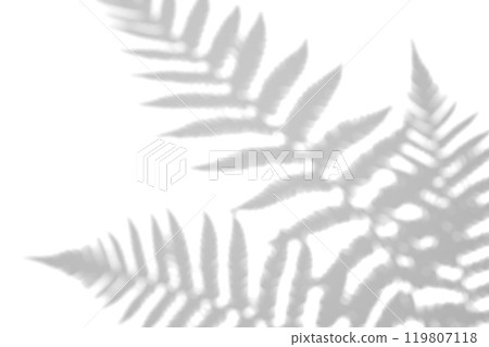 Fern branch shadow. Leaf shadow overlay. Sunlight trough the leaf. Nature organic shadow. Blurred Leaf shadow and light on wall background. 3d rendering 119807118