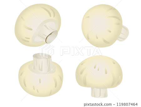 白蘑菇漸層觸控插圖集 白蘑菇漸層觸控插圖集 119807464