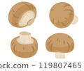 Brown mushroom illustration set 119807465